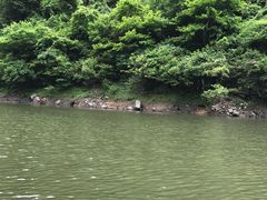 景点-磐安十八涡风景区