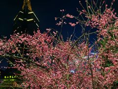 -诸暨耀江开元名都大酒店