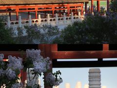 -河北省园博园