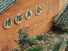 -杨家堂村