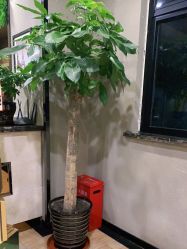 点击看大图 -震轩美容美发