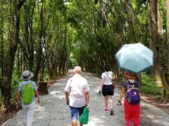-大湾区中央湿地公园