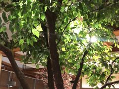 -蜜桃餐厅·伴山(湖滨商业街店)