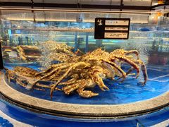 -上和臻品中国菜(花园街店)