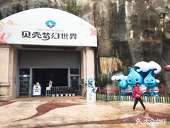 -贝壳梦幻世界