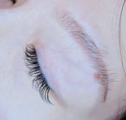 -ZX·美睫设计师汇聚店