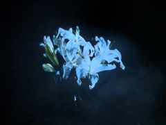 -华熙生物·润百颜ECM中心