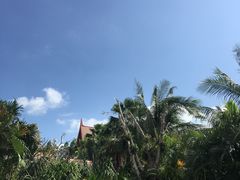 -三亚亚龙湾雅高铂尔曼别墅度假酒店