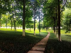 -重庆市江北嘴中央商务区中央公园