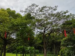 -南沙蒲洲花园