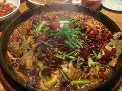 -老板恋上鱼(高新万达店)