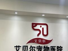 -艾贝尔宠物医院·24H转诊中心·肿瘤猫专科(江宁双龙店)