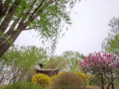 -北坞公园