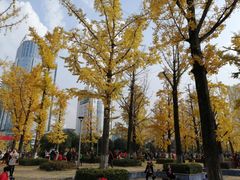 -百林公园-两江幸福广场