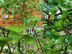 -天河儿童公园