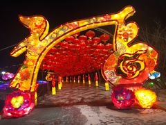 -沈阳奥体冰雪嘉年华