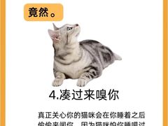 -立德24H动物医院·夜诊·转诊中心·1.5T核磁共振(海珠店)