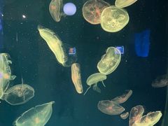 -台州海洋世界