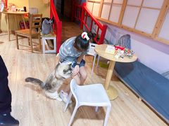 -白兔子密室(长寿路店)