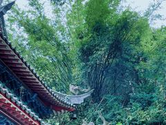 -广州市白云山风景名胜区