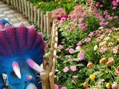 -沈阳植物园