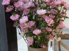 -囿面传统制面馆(中央路店)