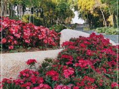 -深圳国际园林花卉博览园