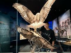 -河套人（鄂尔多斯人）遗址文物陈列室