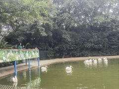-广州长隆飞鸟乐园