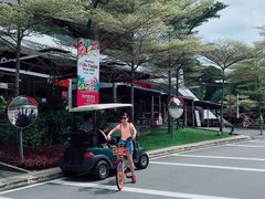 -圣淘沙天际线斜坡滑车
