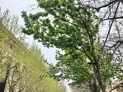 -天津五大道文化旅游区