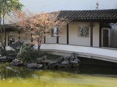 -秋霞圃