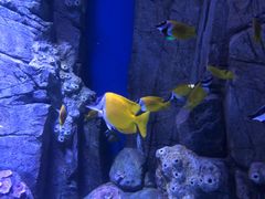 -成都浩海立方海洋公园