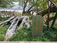 -江心屿景区