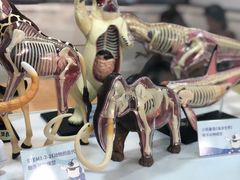 -斯坦星球AI编程·机器人科创·科学实验·信奥·思维·STEM·乐高·竞赛考级(长宁虹桥大融城荟聚中心)