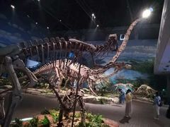 -自贡恐龙博物馆
