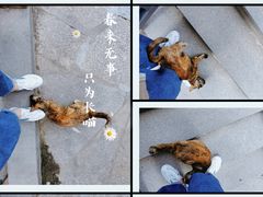 -鸿山公园