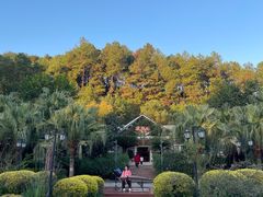 -故乡缘·香格里拉山庄(冷竹路店)