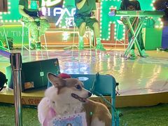 -IPARK购物中心