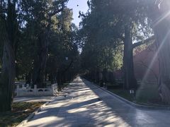 -北京市劳动人民文化宫(太庙)