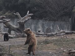 -宁波野生动物园