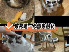 -白兔子密室(长寿路店)