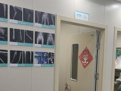 -安安宠医宠物医院·异宠·犬猫内科(岳阳分院)