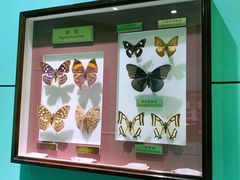 -上海昆虫博物馆