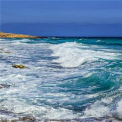 -薇兰专业脱毛连锁机构