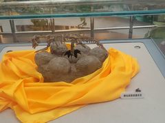 -诸城市恐龙博物馆