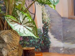 -萤火虫咖啡(后海店)