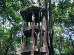 -蒋氏故居