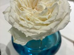 -孔雀川菜(万象天地店)