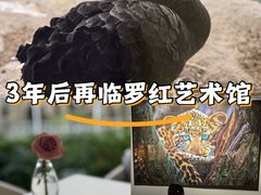 -罗红摄影艺术馆